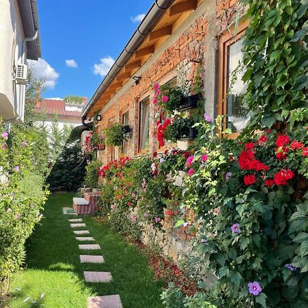 Flower House In The City Center! Приштина Екстер'єр фото