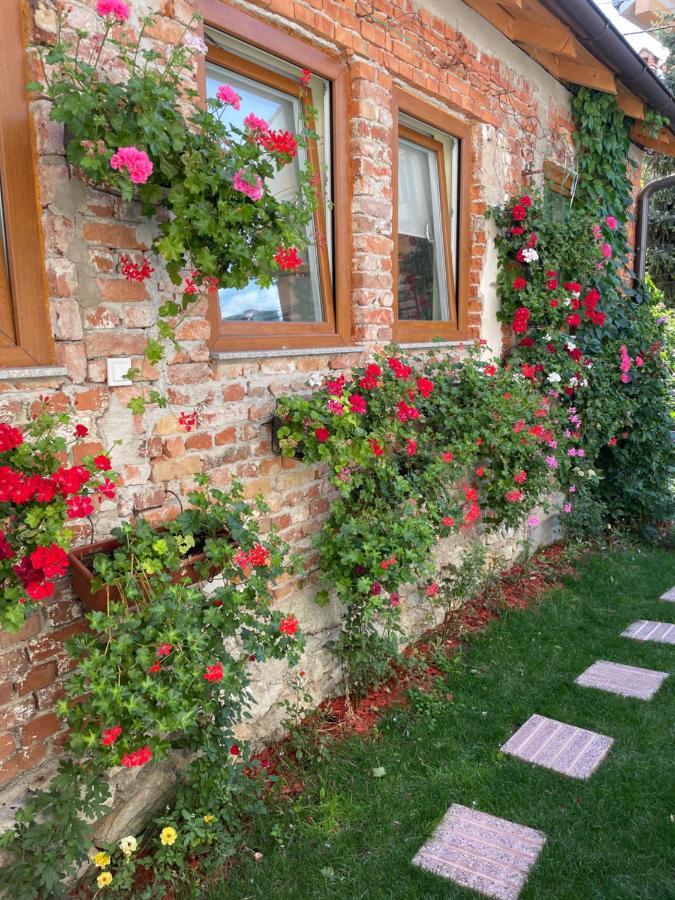 Flower House In The City Center! Приштина Екстер'єр фото